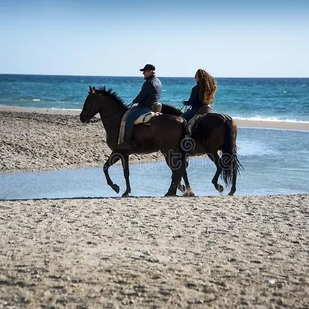 Estudio Platero Appartement *